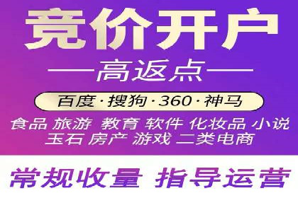 某知名企业SEM营销全案解析