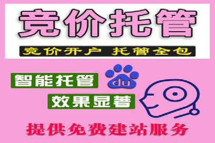 百度推广精准定位，案例深度解析