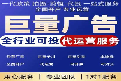百度广告投放策略与效果评估案例